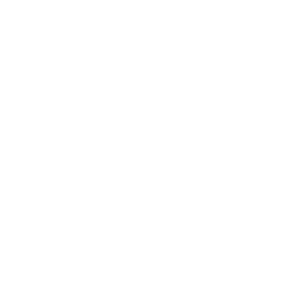 plan minas